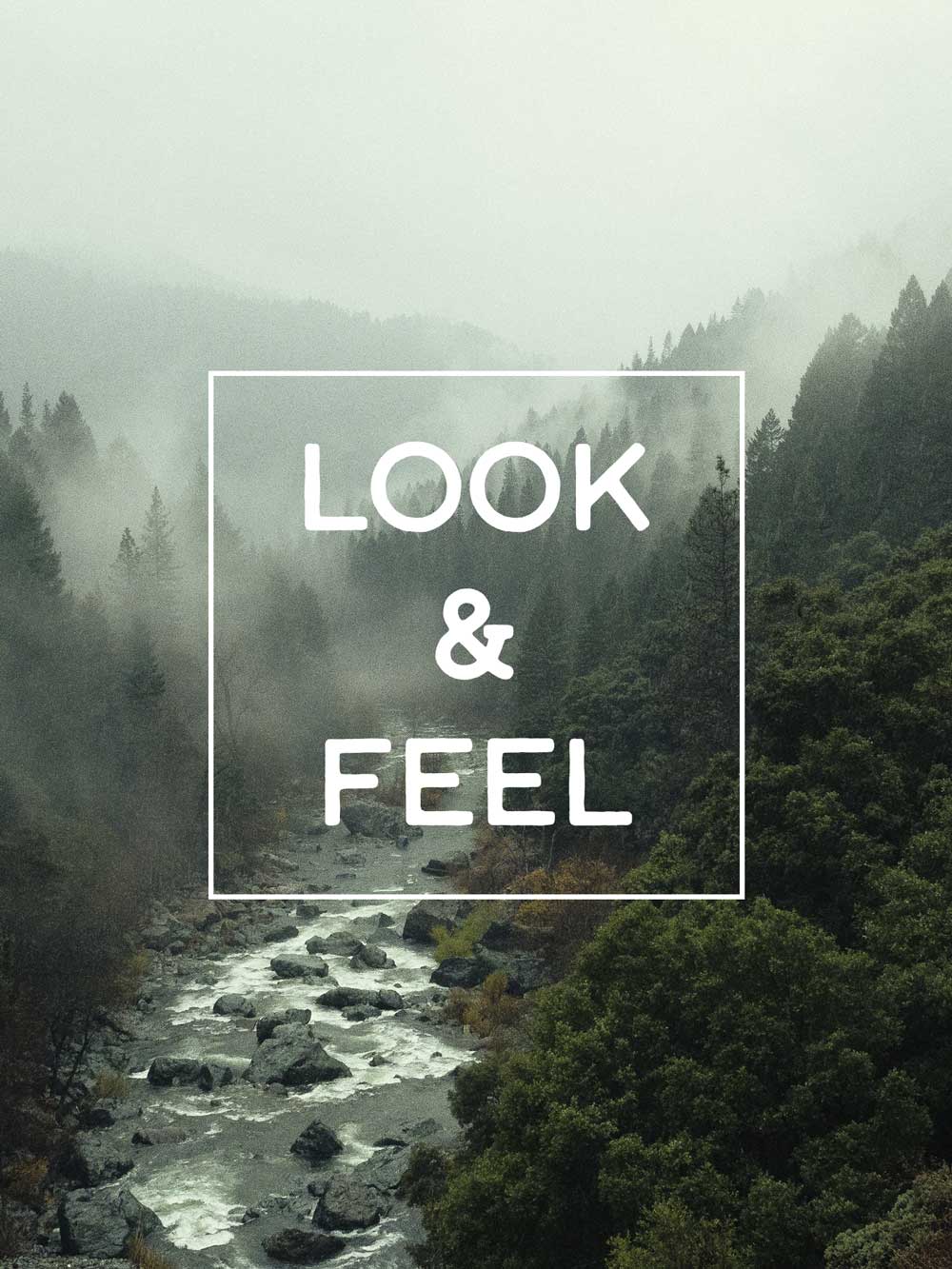 image of mountain river with the words "look and feel" over the image